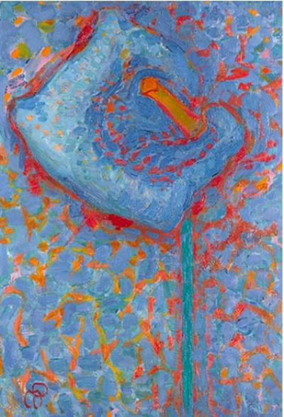 Arum Lily