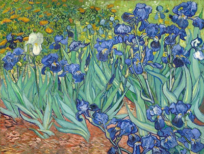 Irises
