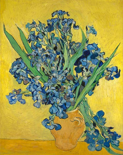 Irises 2
