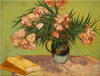 Oleanders