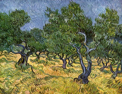 Olive Grove