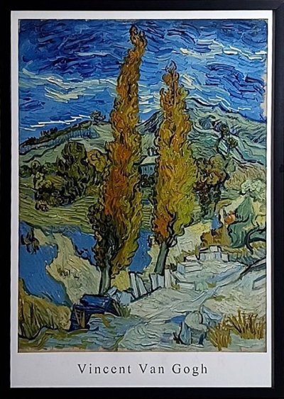 Two Poplars in the Alpilles near Saint-Rémy