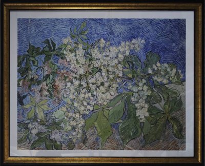 Blossoming Chestnut Branches