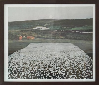 Flower Meadow in the North