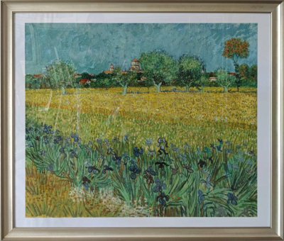 Field with Irises near Arles