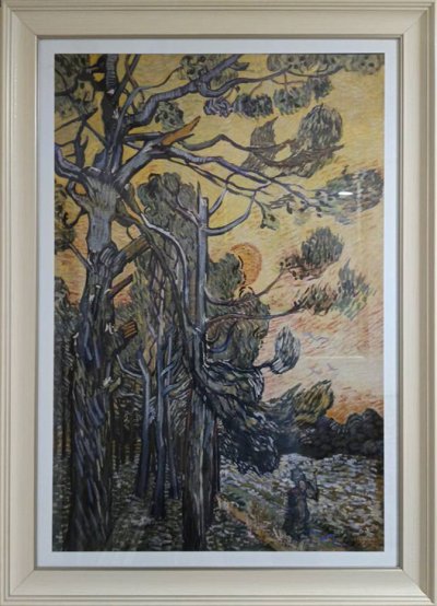 Pine trees at sunset