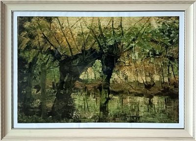 Willow Grove  Impression of Light and Shadow