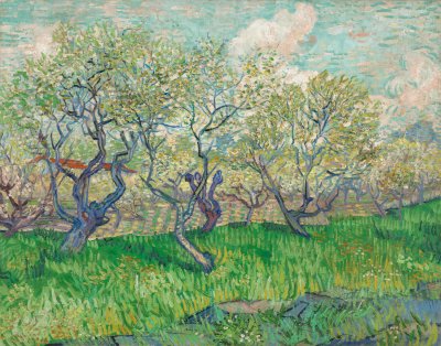 Orchard in Blossom
