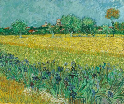 Field with Irises near Arles
