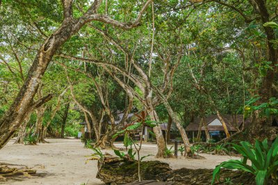 Similan island (Flash no.7)