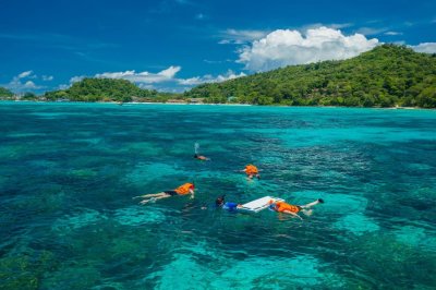 Phiphi island - Khai (Exclusive)