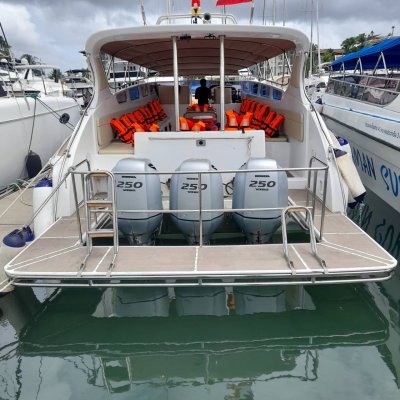 Phiphi island - Khai (Exclusive)