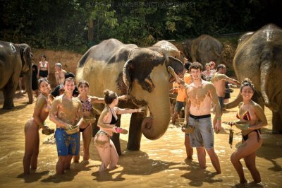 Elephant Jungle Sanctuary
