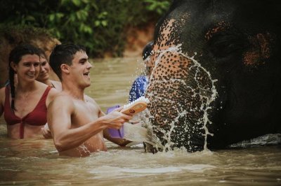 Elephant Jungle Sanctuary