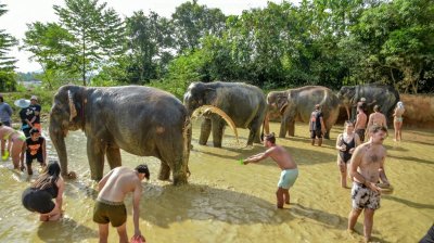 Elephant Jungle Sanctuary