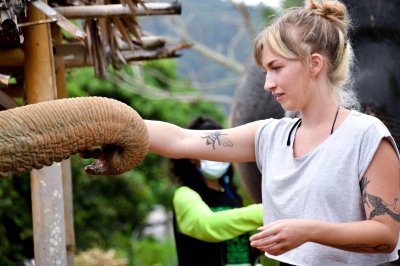 Elephant Jungle Sanctuary