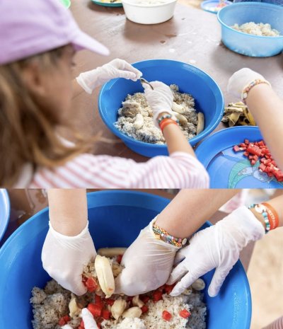 Elephant Nature Observing elephant behavior (No riding No bathing) 3.5 hrs