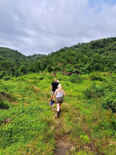 Elephant Nature Observing elephant behavior (No riding No bathing) 3.5 hrs