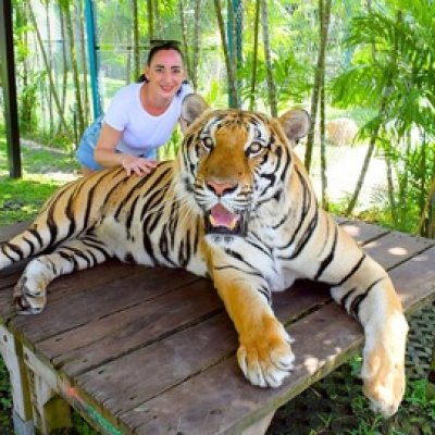 City tour with Tiger experience