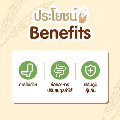 Organic Jang Daewon Probiotics ออร์แกนิก จัง แดวอน โพรไบโอติก