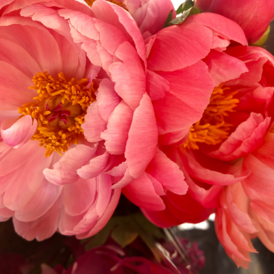 หัวเชื้อน้ำหอมกลิ่น Peony II