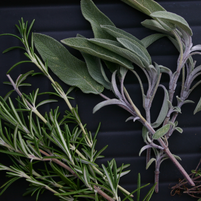 หัวเชื้อน้ำหอมกลิ่น Rosemary and sage