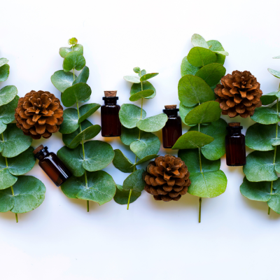 หัวเชื้อน้ำหอมกลิ่น Pine Eucalyptus