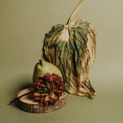 หัวเชื้อน้ำหอมกลิ่น Pear and Flower