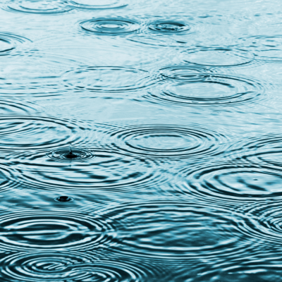 หัวเชื้อน้ำหอมกลิ่น Rain Water