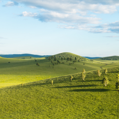 หัวเชื้อน้ำหอมกลิ่น Golf Course