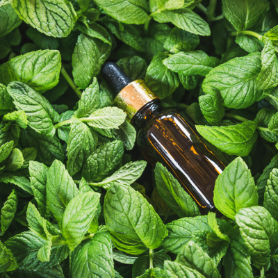 หัวเชื้อน้ำหอมกลิ่น Peppermint