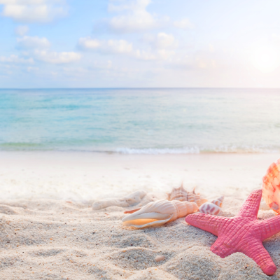 หัวเชื้อน้ำหอมกลิ่น Summer Lover