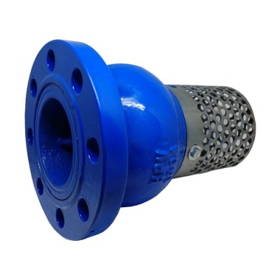 Spring loaded foot valve#10FTCS