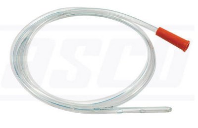 สายป้อนให้อาหาร-น้ำ-ยา สำหรับนก Feeding Tube (Animal)