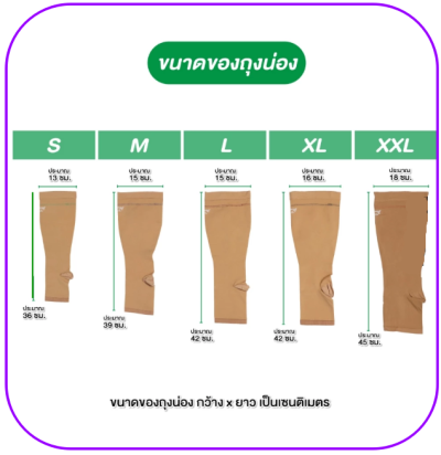ถุงน่องเส้นเลือดขอด Dynamic รุ่น AD ใต้เข่า Knee Class 1-2