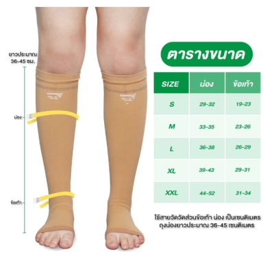 ถุงน่องเส้นเลือดขอด Dynamic รุ่น AD ใต้เข่า Knee Class 1-2