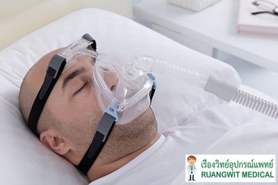 Full Face Mask Apex Wizard 220 (ครอบปากและจมูก)
