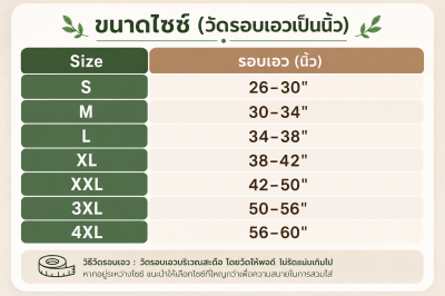 Lumbar Support (L-S Support) ราคาประหยัด(copy)