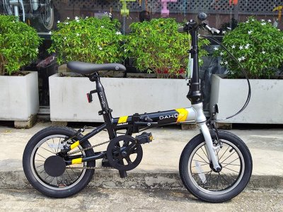 Dahon Ageless