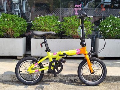 Dahon Ageless