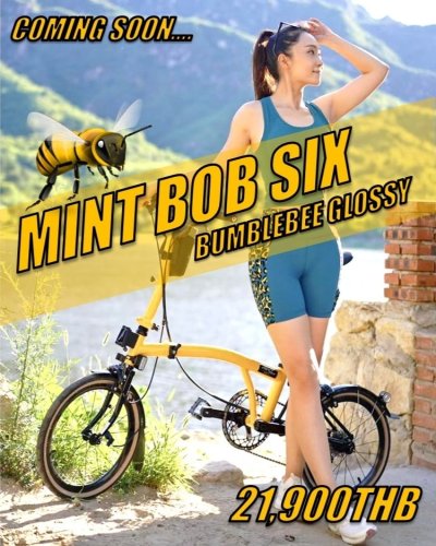 Mint BoB Six Bumblebee