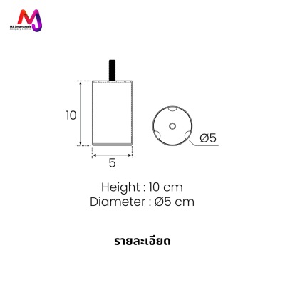 AC-LG ขาโซฟา ขาเหล็กชุบ โลหะเกรดพรีเมียม
