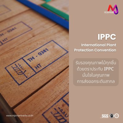 ไม้โครงโซฟา ไม้กระถินแปรรูป บรรจุ 10 ท่อน