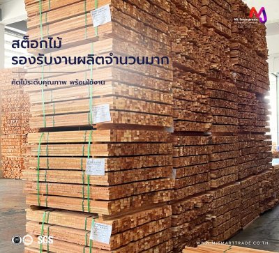 ไม้โครงโซฟา ไม้สะเดาแปรรูป บรรจุ 10 ท่อน