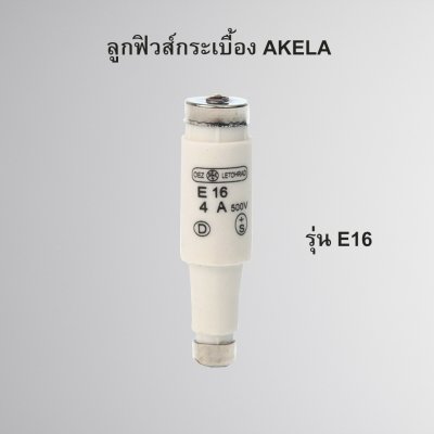 ลูกฟิวส์ OEZ รุ่น E-16 (2ชิ้น)