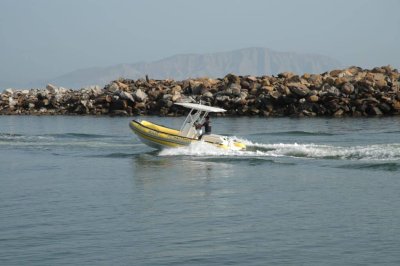 เรือยางท้องแข็ง AB Inflatables รุ่น Profile F19