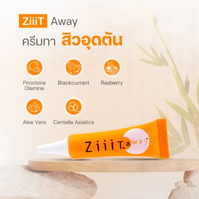 ZiiiT Away  ซิทอะเวย์ ครีมทาสิว