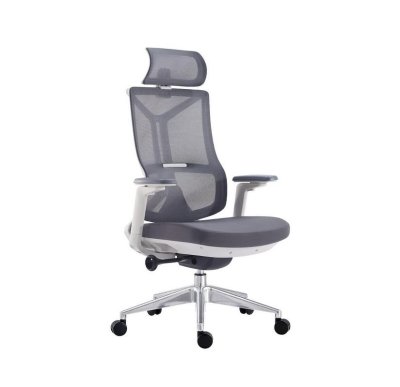 เก้าอี้ผู้บริหารตาข่าย