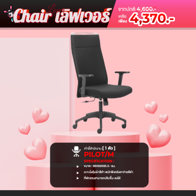 chair เลิฟเวอร์ 1