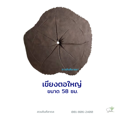 เขียงบิดใหญ่